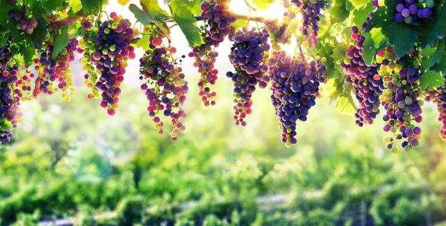 80后女生的创业之路视频,80后农村女孩创业