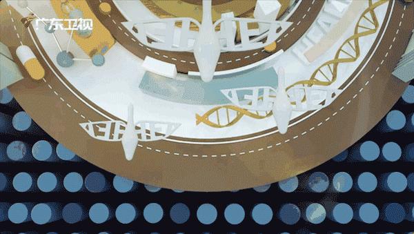 大人腹泻可以吃香蕉吗,拉肚子腹泻能吃香蕉吗