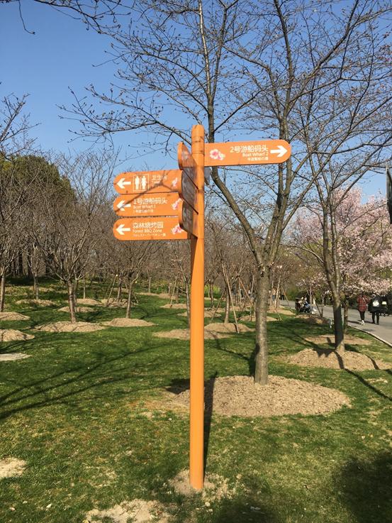 春天必打卡的樱花胜地顾村公园,顾村公园樱花照片视频