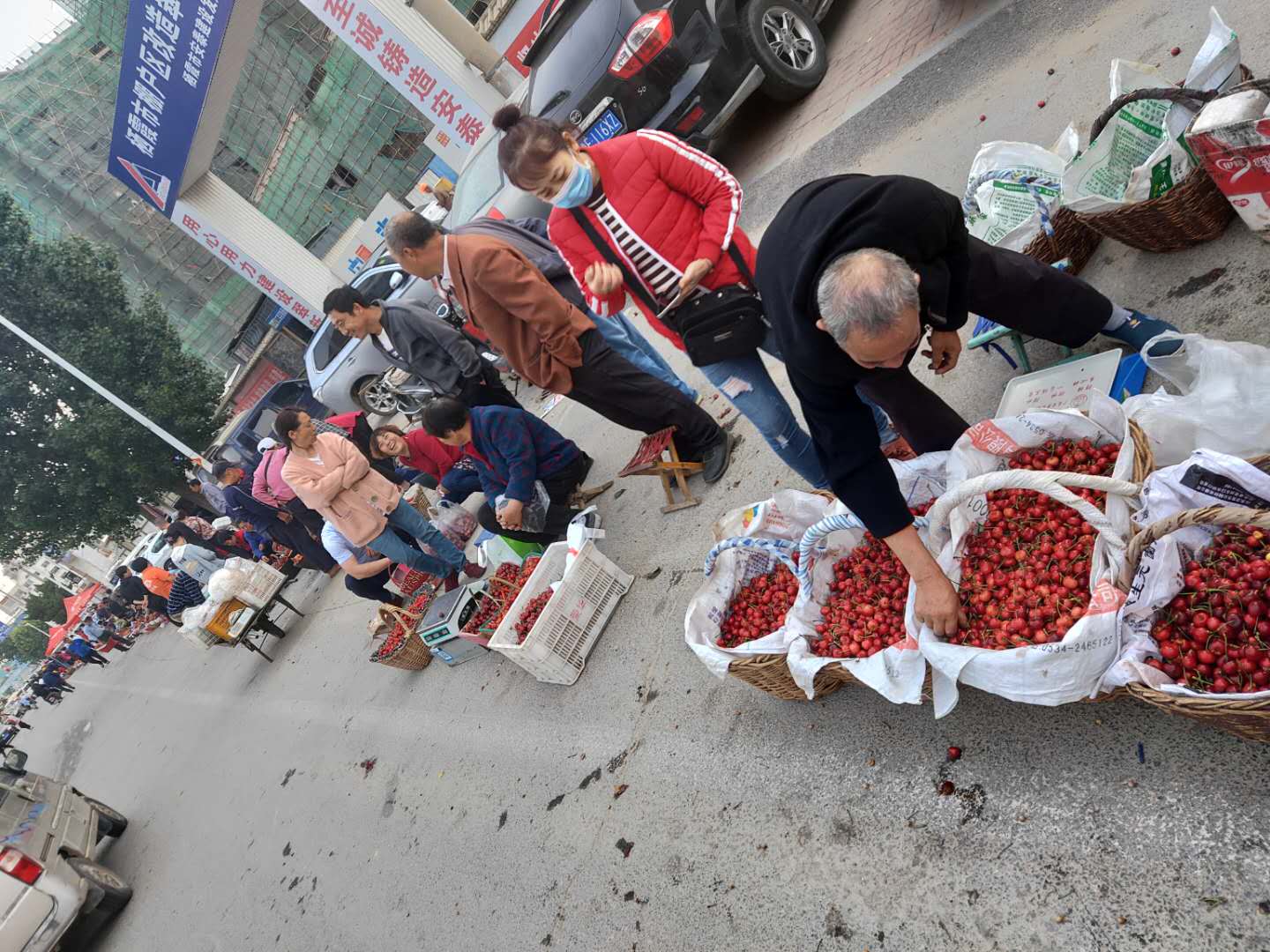 怎么避免樱桃里有虫子,大樱桃虫子怎么去除