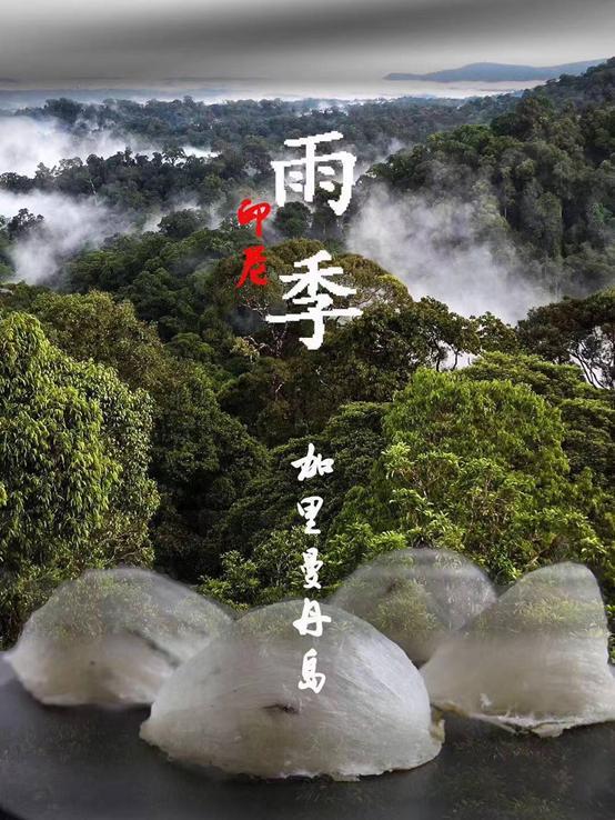 燕窝知识儿童篇,你不知道的营养知识