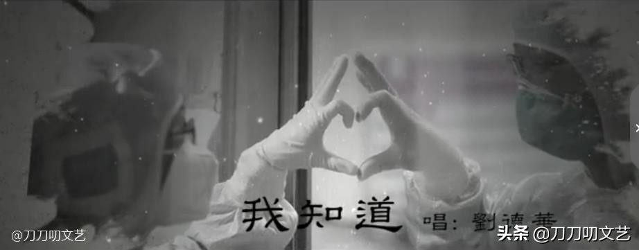 刘德华和张学友捐款,刘德华演讲张学友