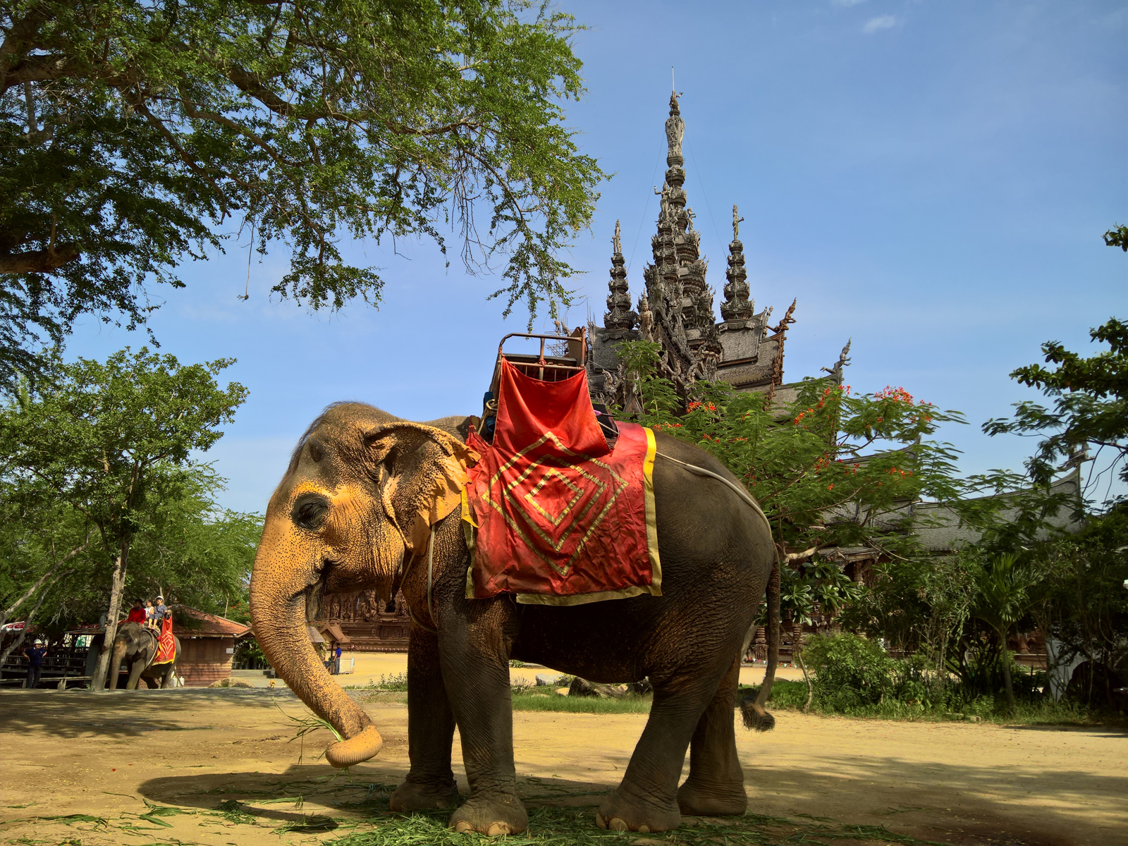 lumia950xl现在还能用吗,lumia950xl能玩抖音吗