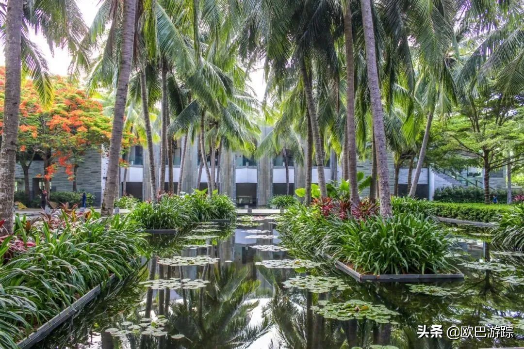 鑸媿涓変簹鍗婂北鍗婂矝娲查檯閰掑簵,涓変簹鍗婂北鍗婂矝娲查檯閰掑簵鏀荤暐