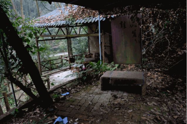 一家开在闹市里的茶馆,一家开在寺庙内的咖啡店