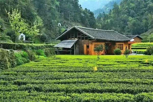 恩施，凭什么持续美哭全国，惊艳世界？