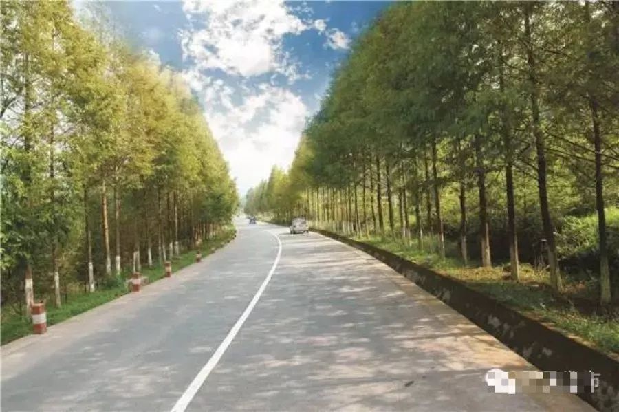 有个地方叫巴中抖音版,平昌好玩的地方