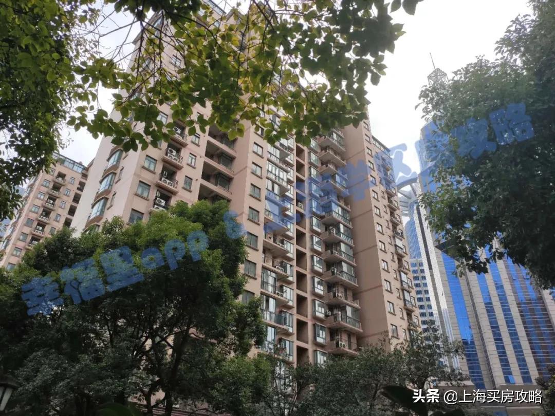 不要求五年一户，抓得紧成绩好，教育集团牵头校，竹园小学测评