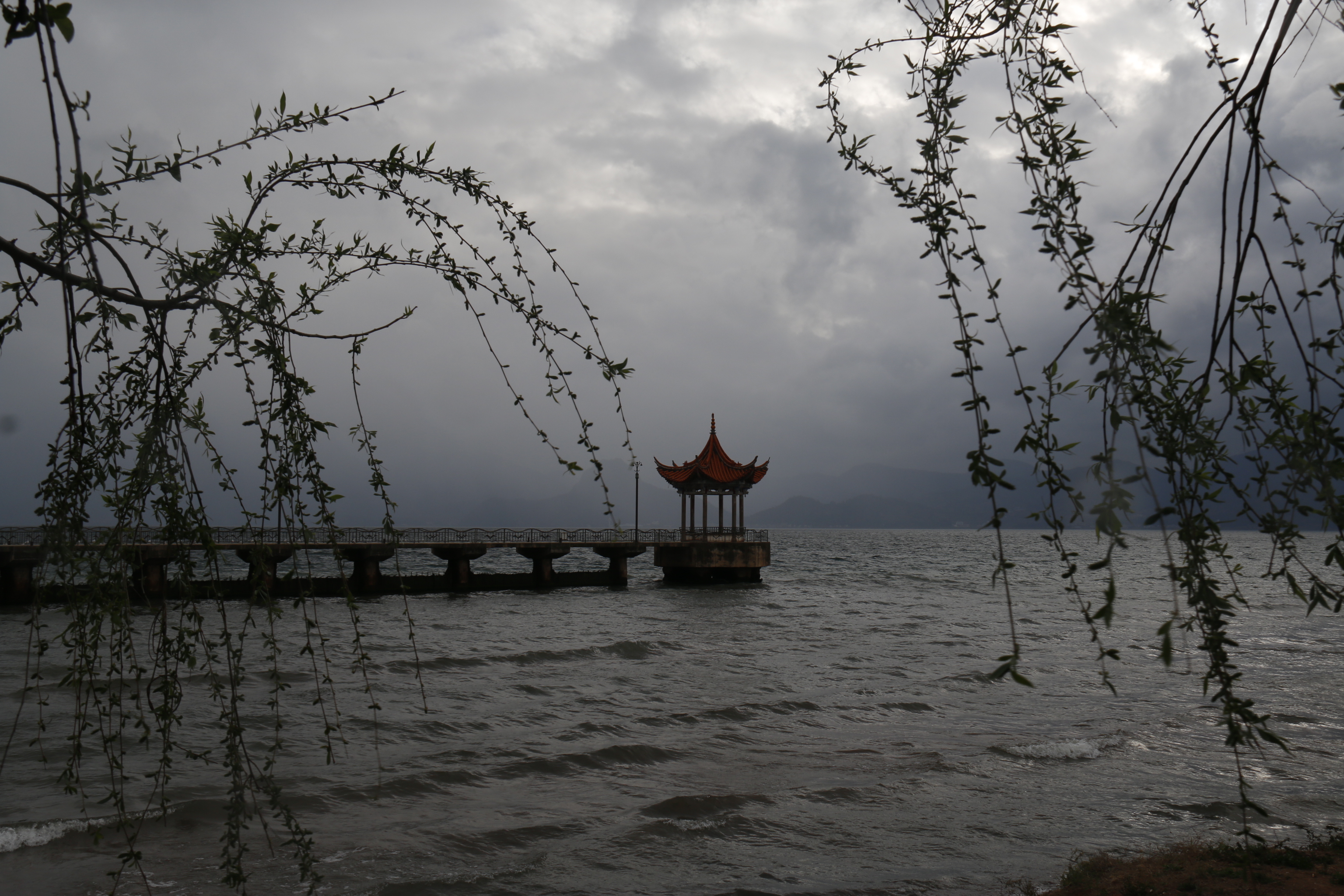 自媒体第一次发文,自媒体最后一次发文