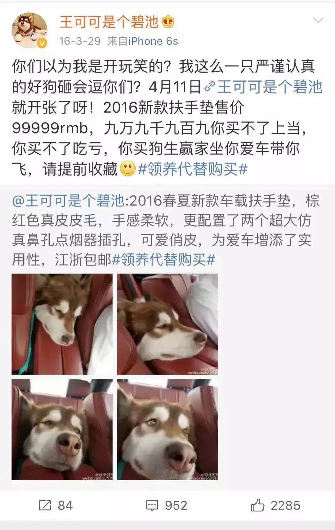 宠物经济市场前景,宠物经济下一个趋势