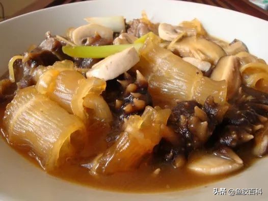 分享一款适合夏季的鱼胶做法,鱼胶怎么做不腥又好