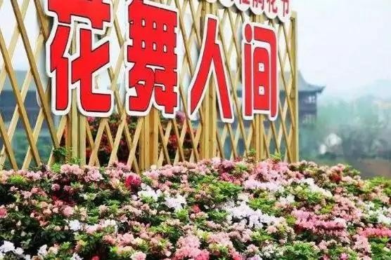 璇楃ぞ閲囬娲诲姩,浼楀垱璇楃ぞ涓冨緥