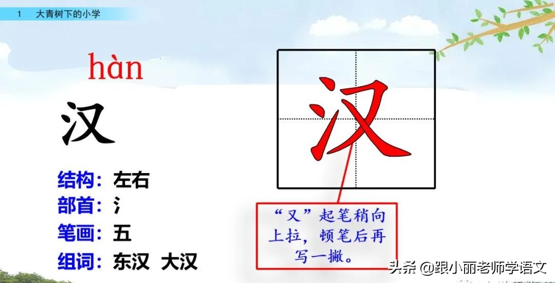 大青树下的小学重要背诵内容,大青树下的小学重点知识点