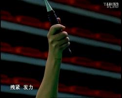 金秋诗画（学羽精华33.发力技巧）