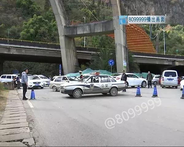 网约司机开车冲进滇池 (网约车司机把车开进滇池)