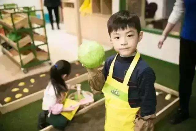 上海网红小镇推荐,上海有个低调的古镇