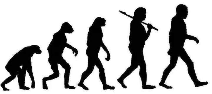 世界上第一个人类是男是女,地球上第一个人类是男是女