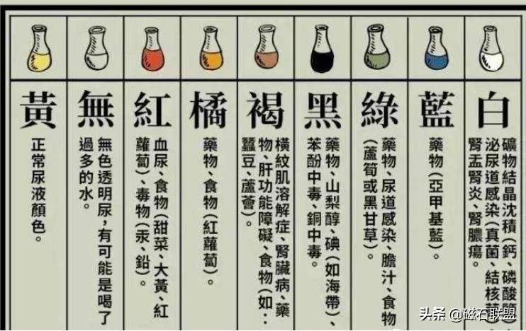 宠物粪检能检查什么,宠物体检应该查什么