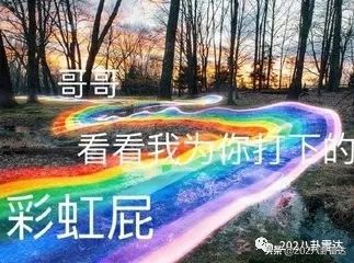 春晚亮点大盘点,猪年春晚筹备时间段