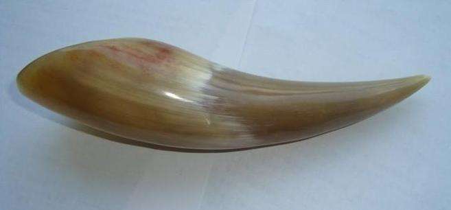 中医刮痧疗法对什么病最有效,刮痧治疗哪些疾病最有效