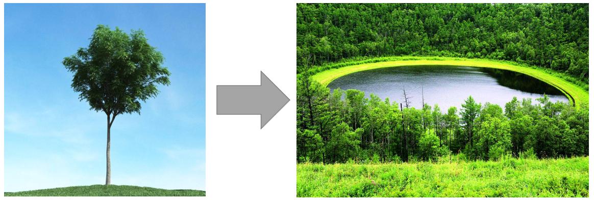 阿里入职4周年感慨,阿里入职未来展望