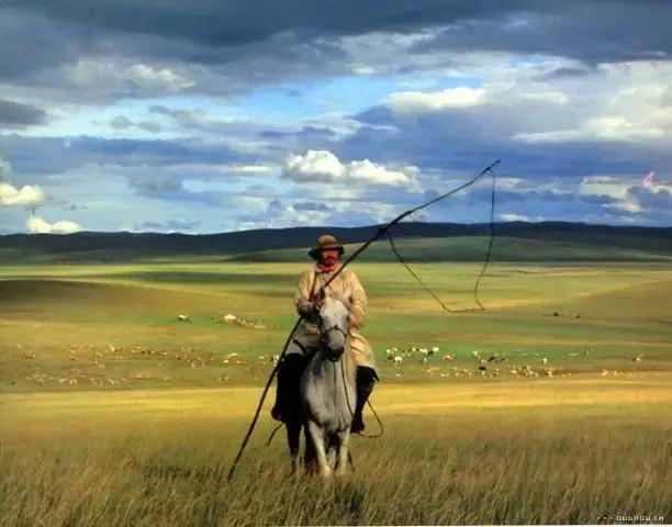 无马不自由！22部“有马”的电影，请盘住