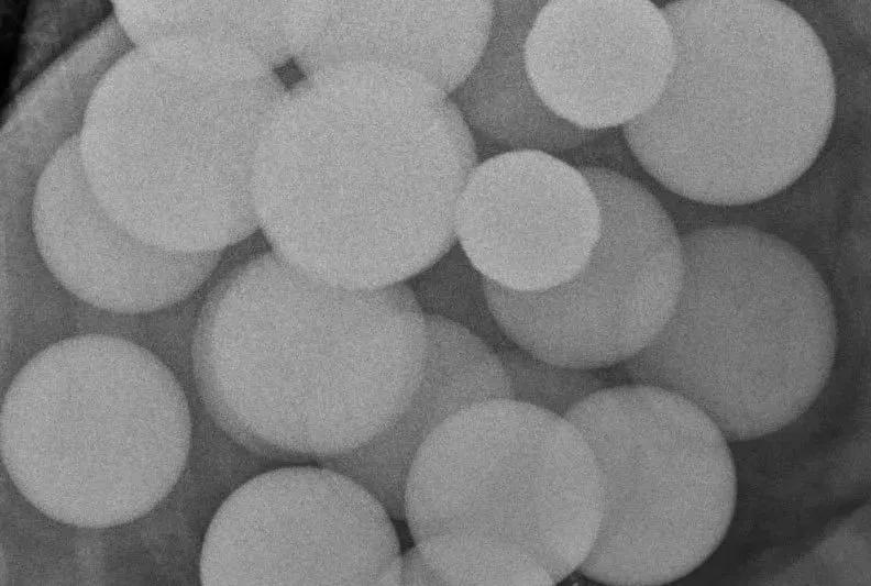 猫咪挑食纠正过来后还能喂零食吗,猫咪出现挑食情况铲屎官怎么办