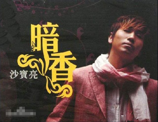 沙宝亮艺人照片,歌手沙宝亮简介