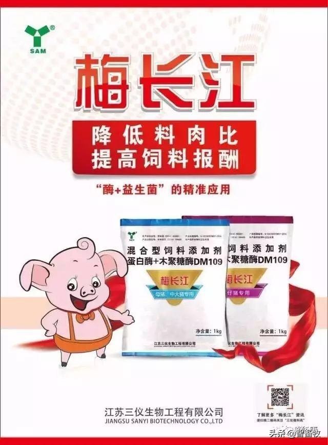 母猪的输精准备,母猪的输精方法及操作要点