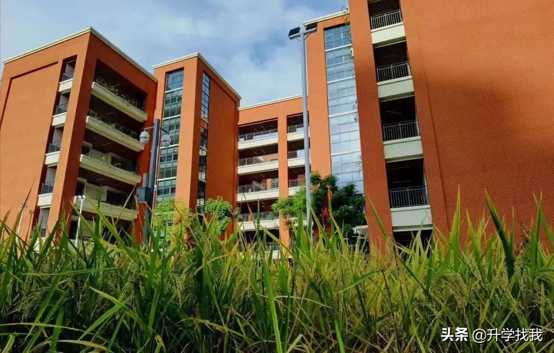 凭什么？开学第一天，重庆这所学校就火上了人民日报