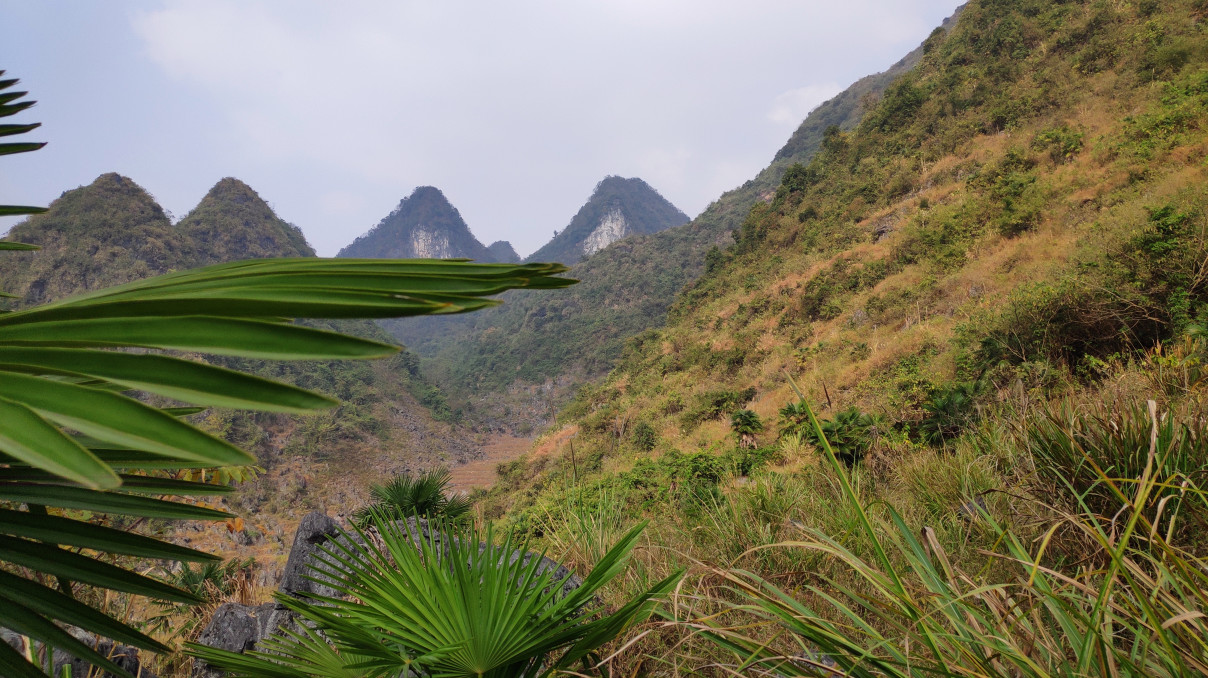 实干是什么意思,实干才是真谛