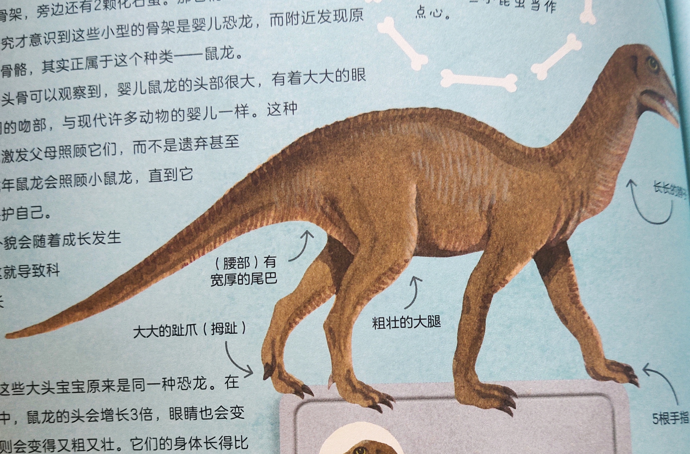 科学院恐龙科普视频,中科院的科普视频