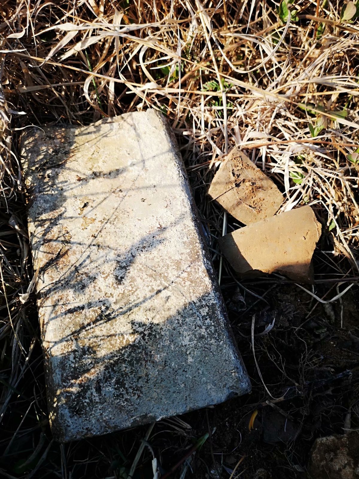 摩托周边旮旯游——探访蚌埠李楼鲁山寺遗址（上）