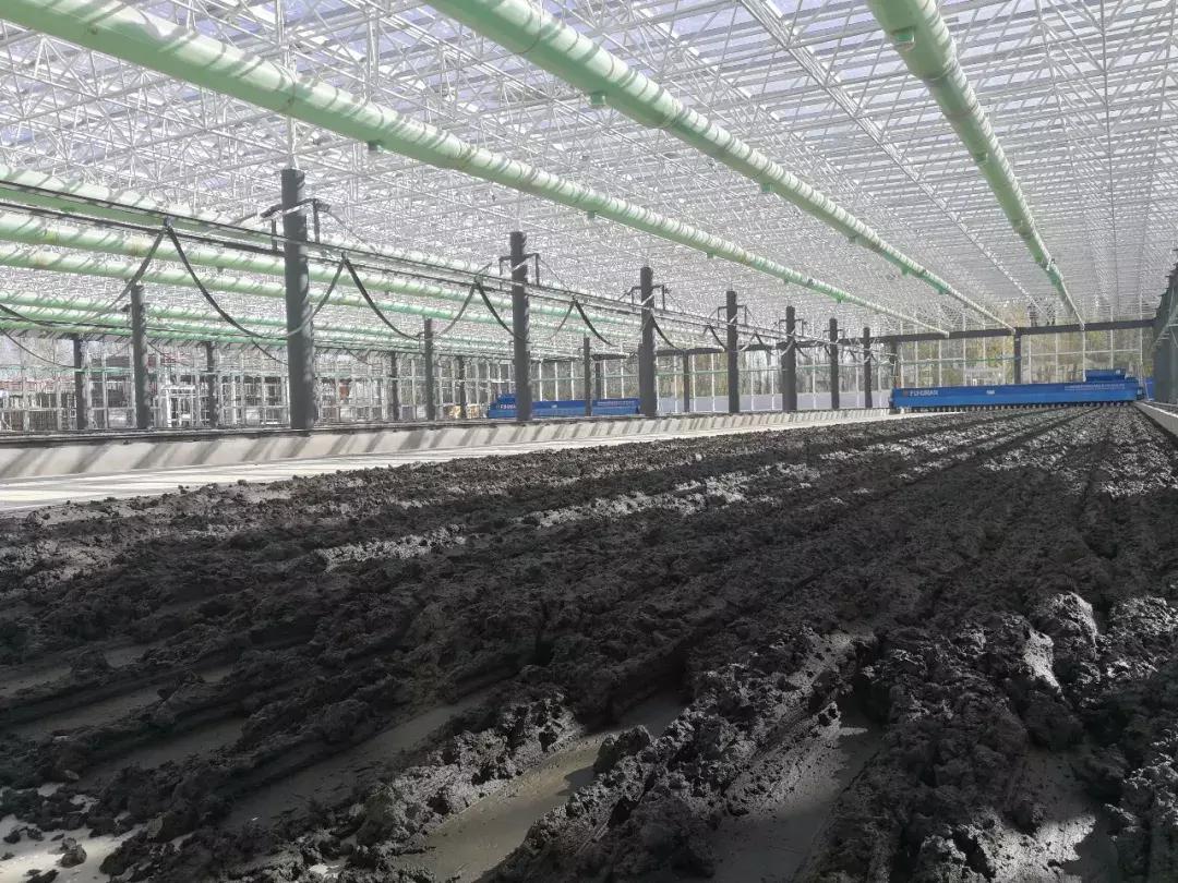 污泥干化焚烧需要哪种污泥,污泥干化与焚烧技术