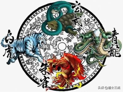 93年属鸡的住房最佳楼层及方位,从风水角度看买什么朝向的房子好