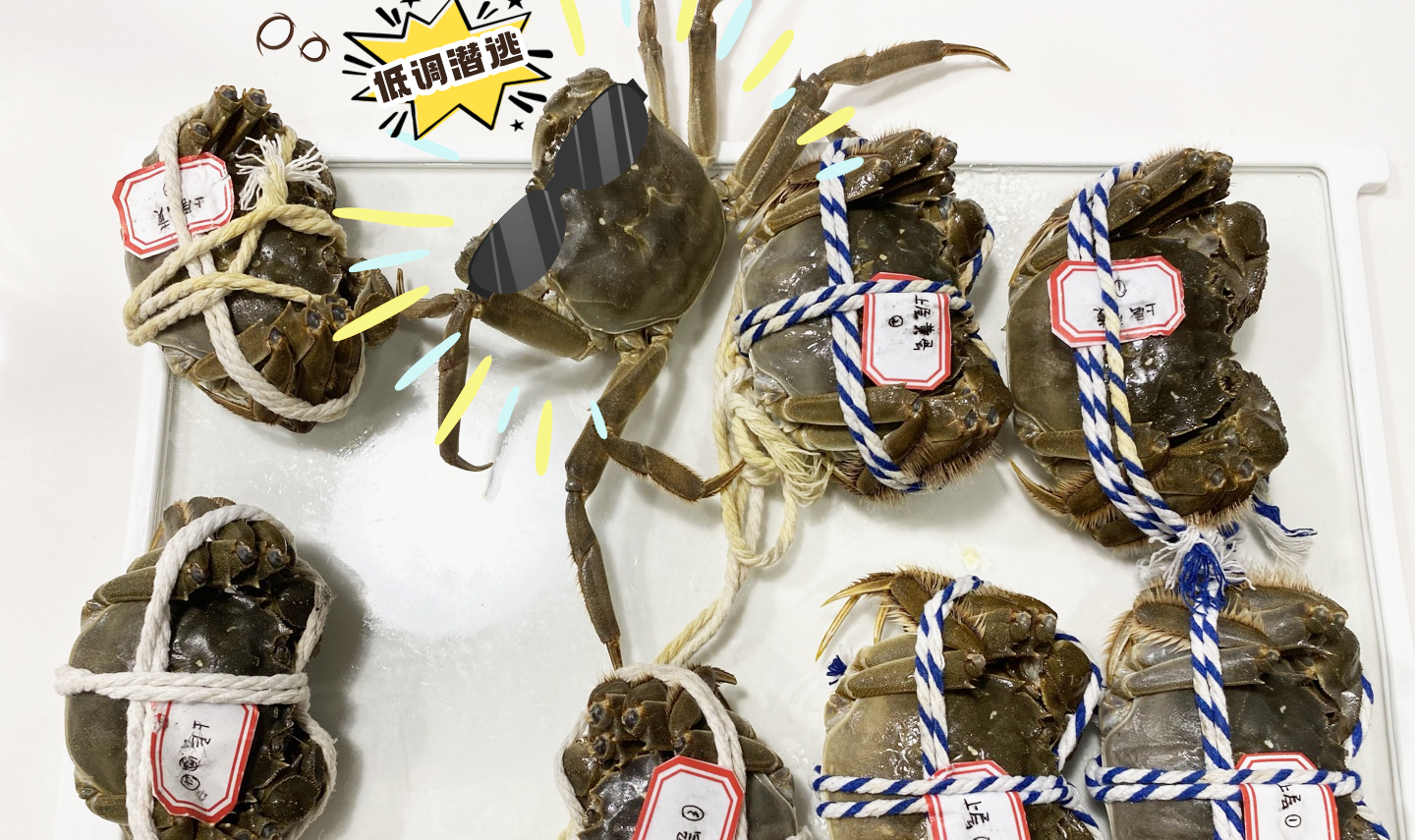 螃蟹死了怎么办最好,螃蟹怎么就死不了了