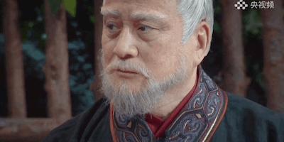 看完典籍里的中国再看什么,观看典籍里的中国综艺