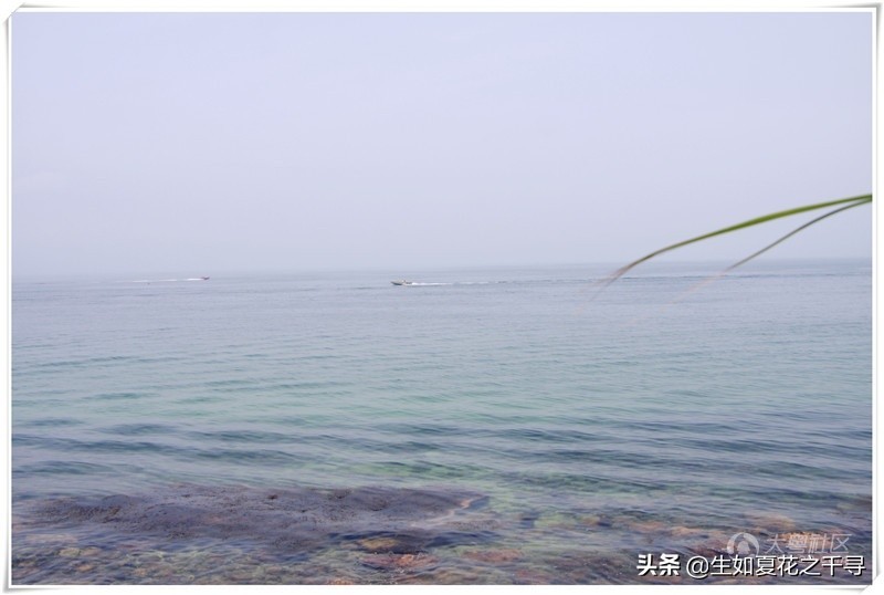 深圳市杨梅坑美人鱼拍摄基地,深圳大鹏杨梅坑美人鱼拍摄地点