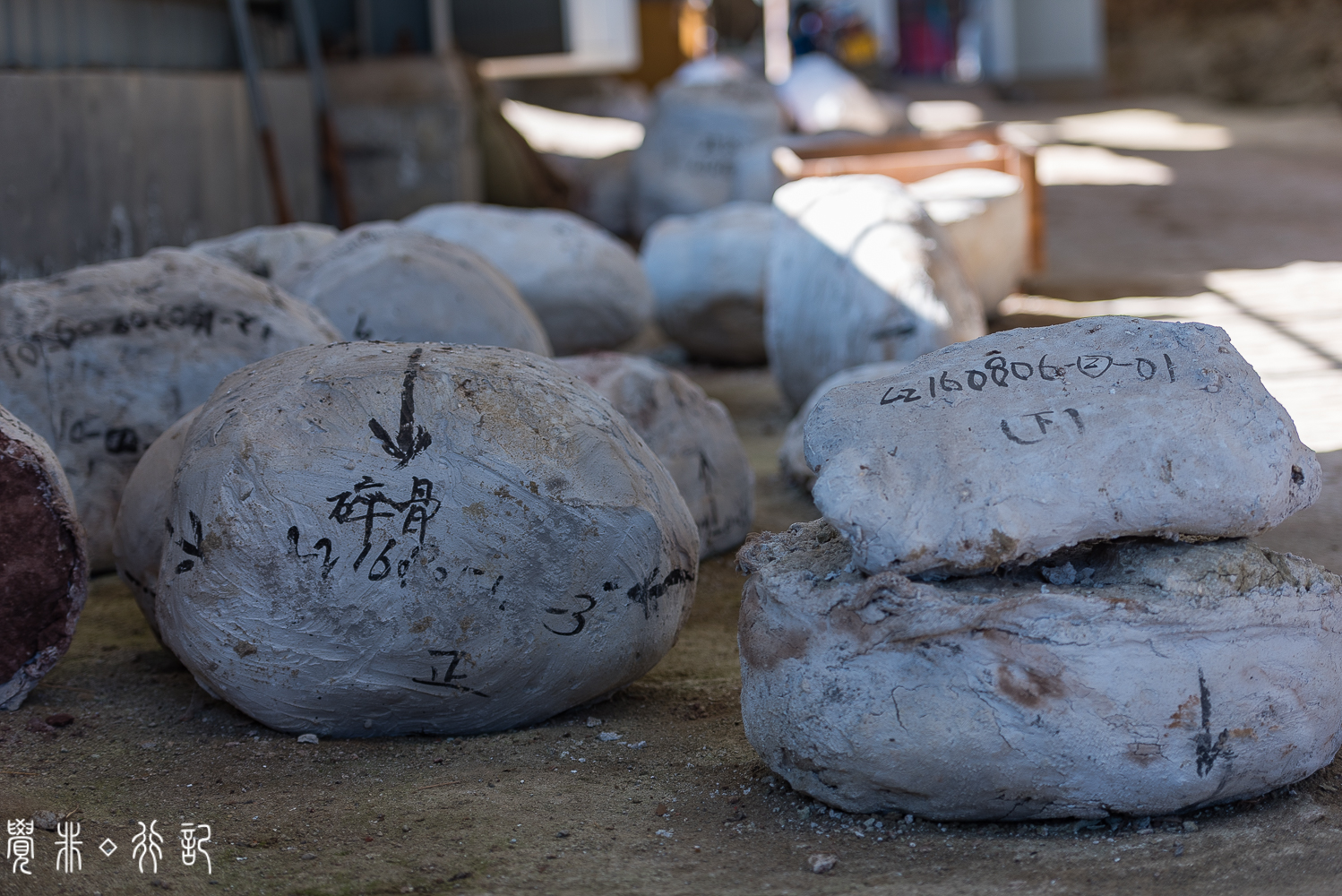 莱阳白垩纪国家森林公园,莱阳白垩纪公园