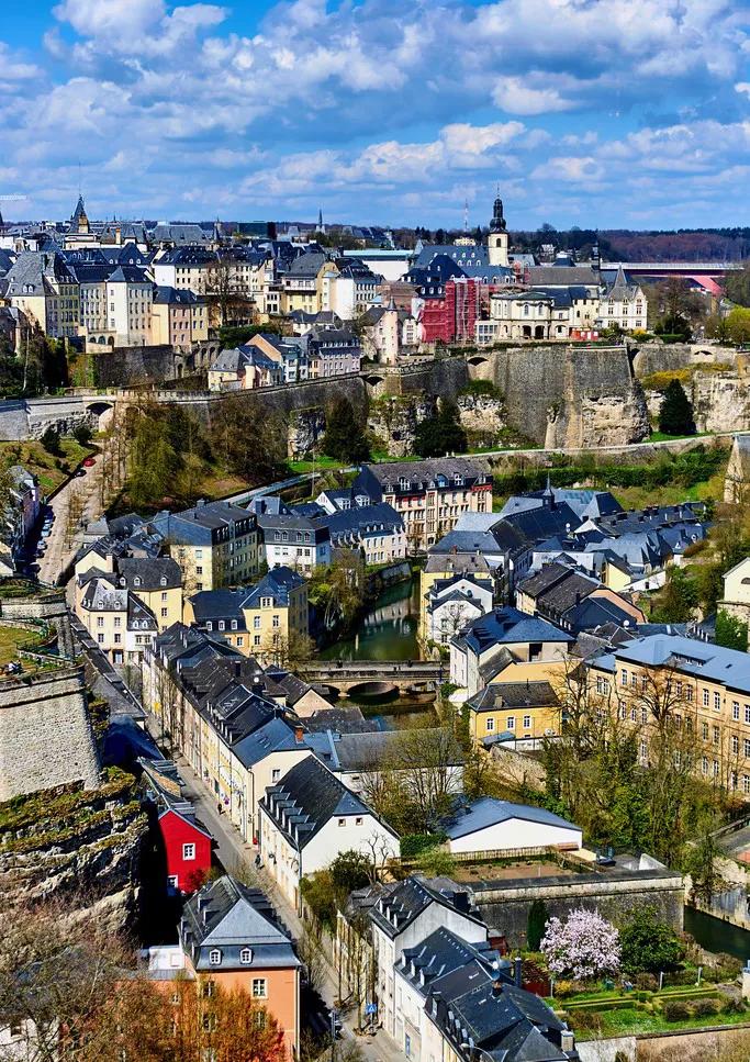 卢森堡体育明星,卢森堡56岁中国乒乓球选手