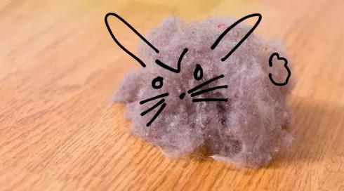 清除家里毛絮的小妙招,打扫卫生家里很多毛毛怎么办