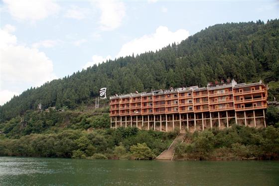 黄山的金凤凰,山沟里的金凤凰湖北