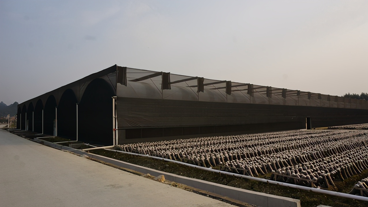 广西禾美农业有限公司,广西禾美生态农业