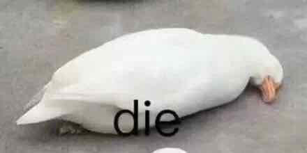 对对对我就是在外国摆地摊的名工