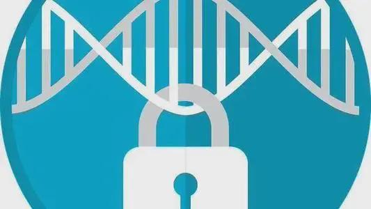 2024年乙肝新药研究进展,乙肝正在研究的新药