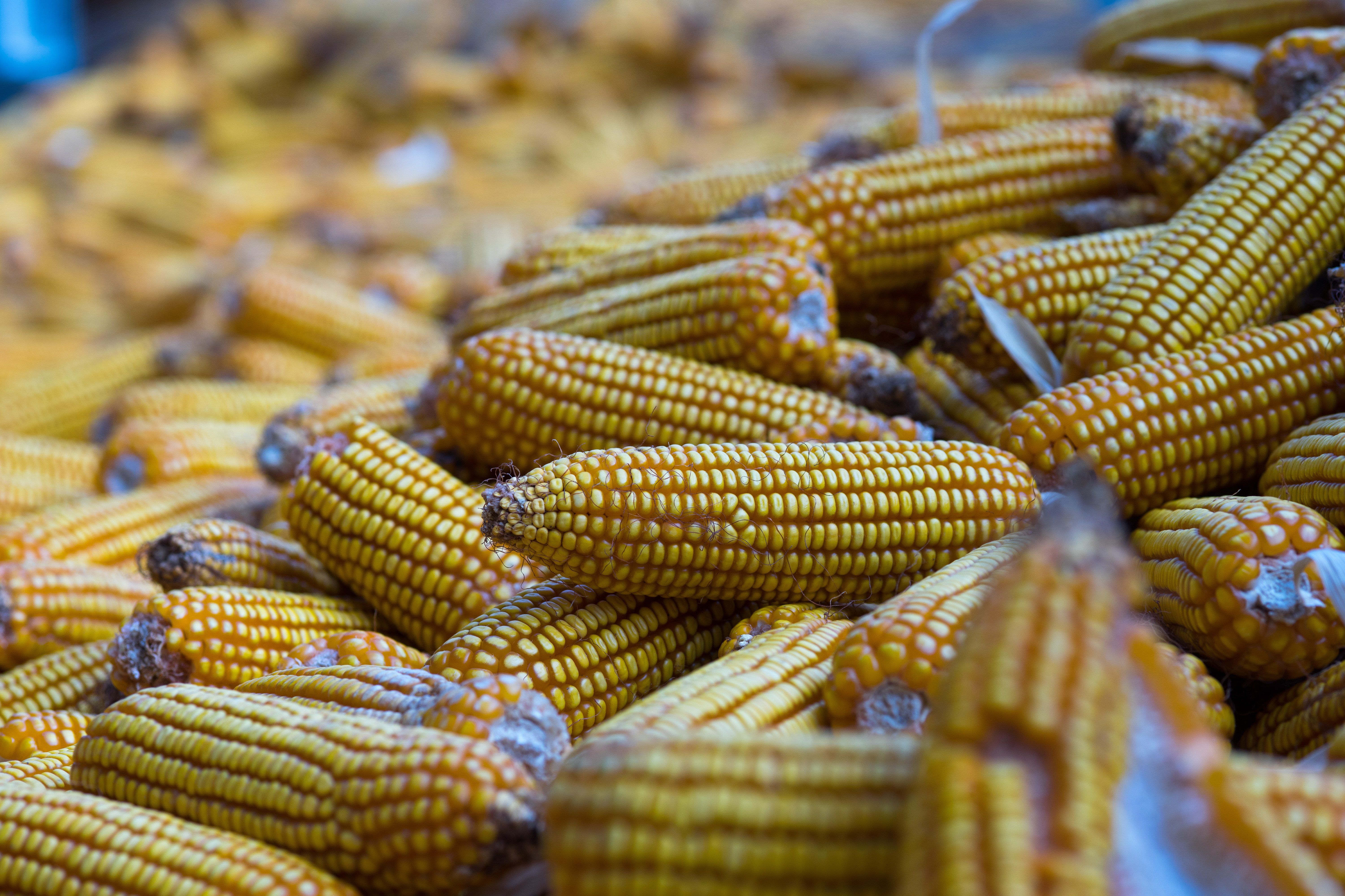 哈尔滨去太行山大峡谷,哈尔滨出发游南太行山