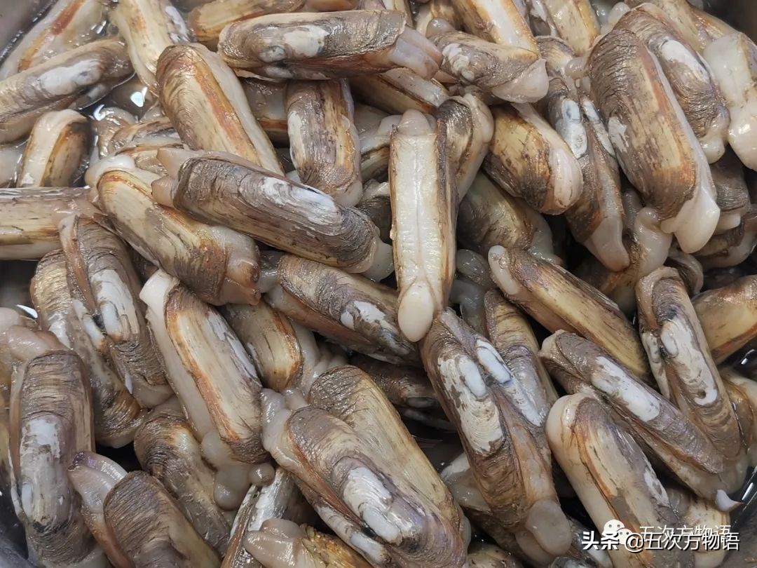 青岛海鲜市场价格表今日,青岛哪个农贸市场海鲜最便宜又好