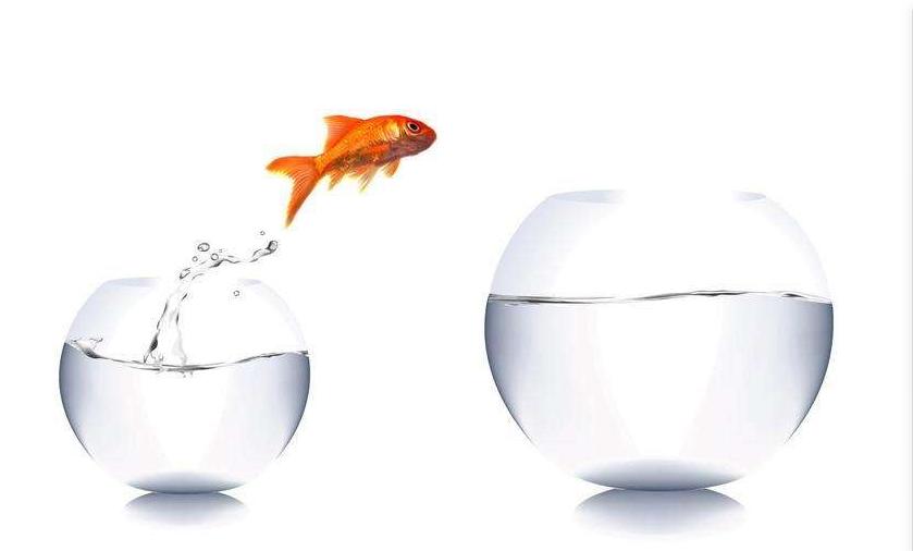 当你落魄、连亲人都瞧不起时,建议学学犹太人“*款贷**”思维