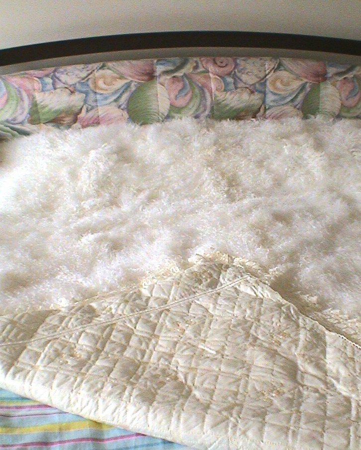 宁夏十大特产带货,宁夏十大特产美食