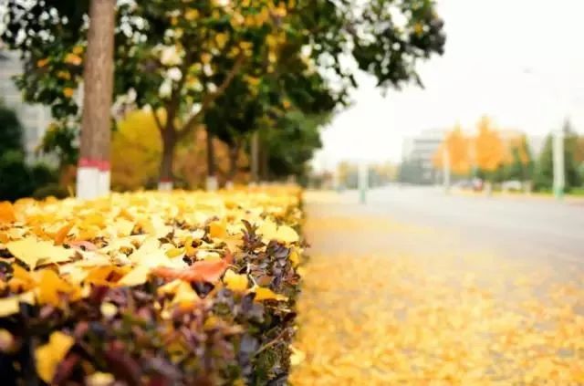 西安外国语大学原来叫什么,西安外国语大学是什么学校